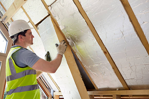 Best Insulation Replacement Services  in Neptune City, NJ